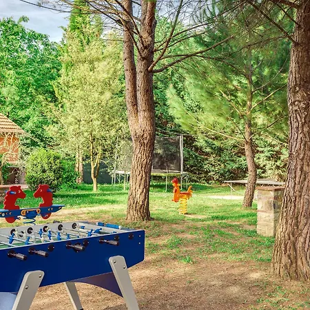 Rosa Bianca By Interhome Daire Poggibonsi